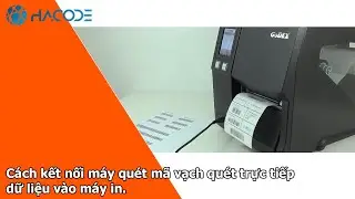 HACODE | Cách kết nối máy quét mã vạch quét trực tiếp dữ liệu vào máy in.