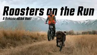 Roosters on the Run | a Bakcou eBike Hunt