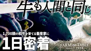 【密着】本物の和牛をロジカルに！？「健康＝美味しい」牛に向き合い続ける畜産農家の1日とは？