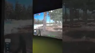 HITTING TREES: Sim Golf @ Pinehurst #golfshorts