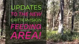 Update on the New CritterVision Feeding Area!