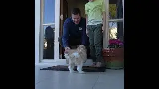 Vetpost - For Happy, Healthy Dogs