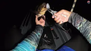 Extended ang Quick Fishing kay nag Feeding Frenzy sa Spot || Kayak Fishing