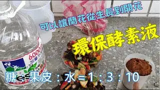 一種可以讓蘭花從生長到開花的自製環保酵素 果皮酵素液