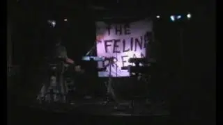 The Mirror Image by The Feline Dream live @ Electrogogo
