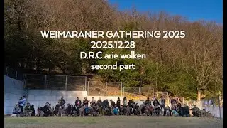 Weimaraner Gathering 2025 12 28 四国オフ会