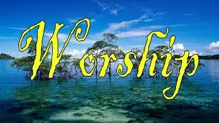 Worship - November 30 - Faith Food Devotion