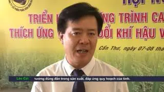 canh tac luc thong minh done