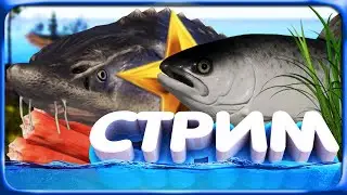 РР4 СТРИМ • ПОГОНЯ за ТРОФЕЙНЫМ ОСЕТРОМ БАЛТИЙСКИМ и ЛОСОСЕМ на АРХИПЕЛАГЕ!
