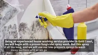 External Mould Removal Services in Gold Coast