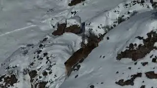 The Ghosts of the Snowy Peaks: A Survival Journey in Anatolia (4K)