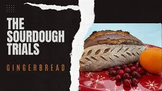 The Sourdough Trials: Gingerbread