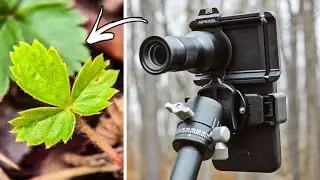 Macro Photography For Only $60?! / Apexel TeleMacro Lens Review