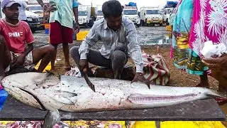 Live Fastest Big Fish Cutting Skills | Live in Fish Market 2019 | Fisherman