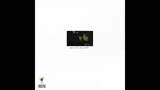 Pase Rock - Grey Matter(12