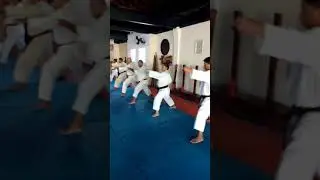 Nanbeikai Genseiryu karate-Do Butokukai Honbu Dojo