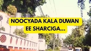 NOOCYADA KALA DUWAN EE SHARCIGA OGOLAANSHAHA DEGIDA KENYA @BeyondSomaliVibes