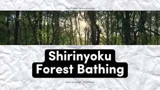 Forest Bathing Shirinyoku
