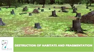 DESTRUCTION OF HABITATS AND FRAGMENTATION