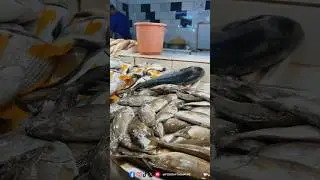 Fresh and Affordable Grocery Shopping in Dammam - &lsquo;Dammam Fish, Meat & Vegetable Market&rsquo;