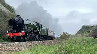 The Flying Scotsman 60103 | Whiteball | Dawlish | Exeter | 30/04/23 |
