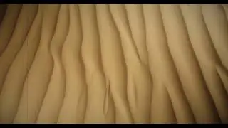 Arkhives Moth - Dune cleaner