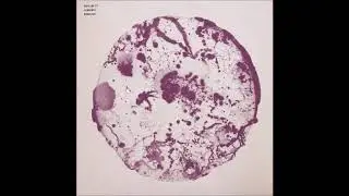 Lawrence - Bonfire [GIEGLING27]