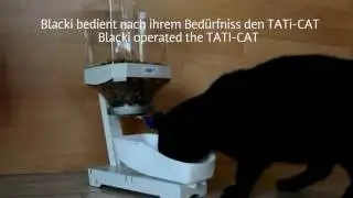 Katze f&uuml;ttert sich mit dem TATi-CAT nach Bedarf.