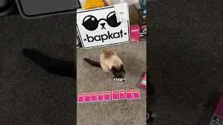 Swipe