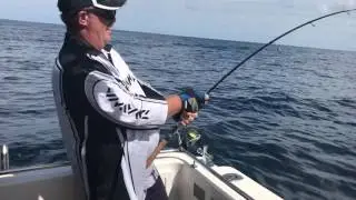 SUNSHINE COAST FISHING CHARTERS