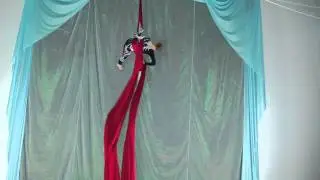 Dreams Showcase - Anastasia on Aerial Fabric
