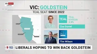 Liberals hoping to win back Victorian seat of Goldstein