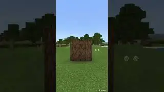 Minecraft# short #video#309