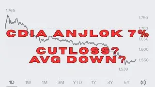 Alasan Saya Terus Average Down Saham CDIA ditengah Kejatuhan Harga