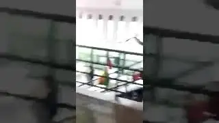 Motín en el Penal 1 de San Cayetano