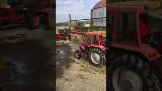 Massey Ferguson 250mp & MF80 loader