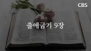 1월 19일 (월) 출애굽기 9-11장
