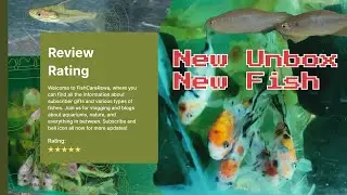 New Collection Aquarium Fish @DhaniLif @FishCareRewa