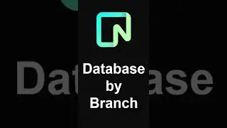 Neon: Official Sponsor and Database of the Channel 💡