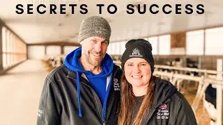 6 Steps to Dairy Farming Success!