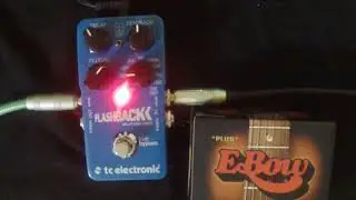 E Bow Plus W/ TC Electronic Flashback 1 delay 
