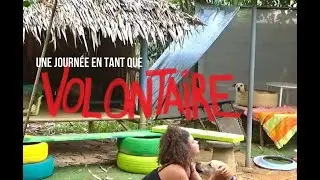 Vlog - Volontariat dans un refuge pour chiens en Thaïlande (Koh Chang)