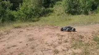 Rc Bonkers at Bonk