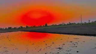 brand view 😀 of my village 🥀💐🌻🌴🌾🥀