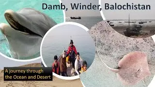 Damb, Winder, Balochistan || Dolphin Watch & Fishing trip || 2021 || Part 1