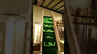 shampoo bottle unscrambler , hdpe bottle unscrambler