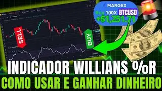 COMO GANHAR DINHEIRO NO MERCADO FUTUROS USANDO O INDICADOR WILLIAMS %R NA MARGEX EXCHANGE