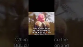 Discord Memes