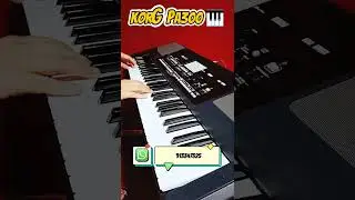 WhatsApp 913347325 Korg Pa300 #samples #sonidos #ritmos #Aeminpu #nuevoed&eacute;n #PROGRAMACI&Oacute;N #yamaha
