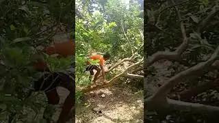 5 day volgs video #sorts